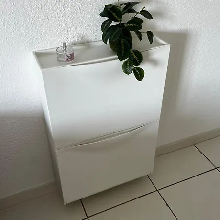 Beau بورم لي ميموزا